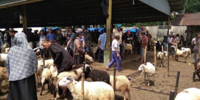 Tata cara (Akad) Jual beli Hewan Kurban di Masa Pandemi