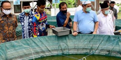 peran pesantren untuk pemberdayaan ekonomi