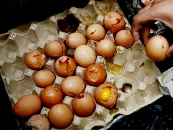 Najiskah Telur yang Sudah Membusuk?