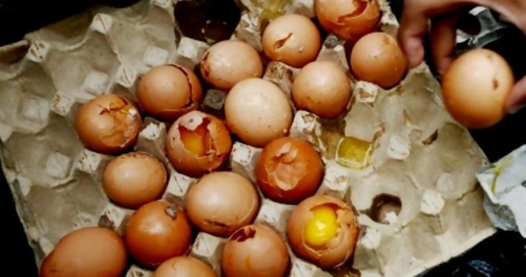 Najiskah Telur yang Sudah Membusuk?